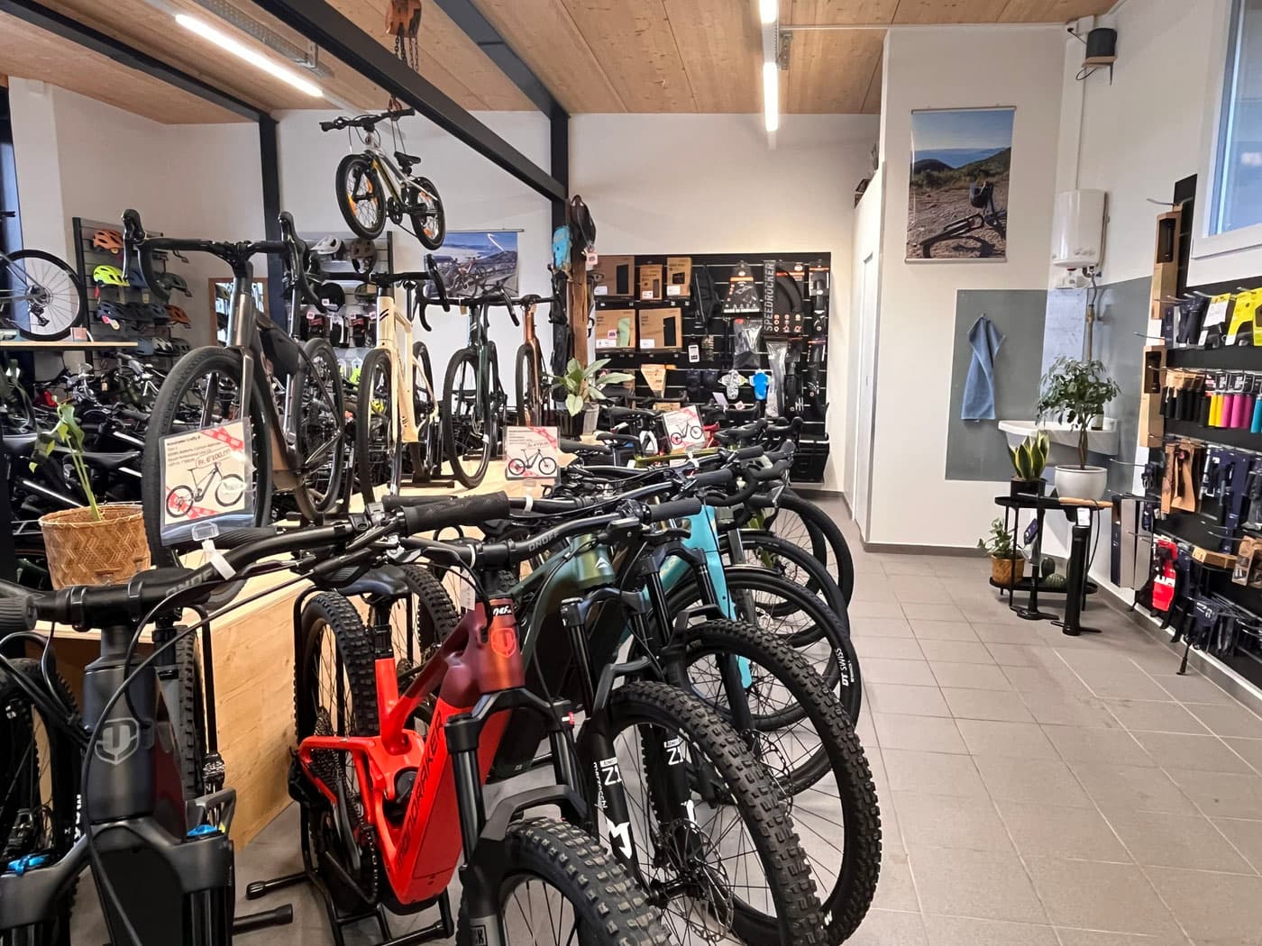 Im Showroom